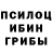 Псилоцибиновые грибы прущие грибы Pavlo Golovanov