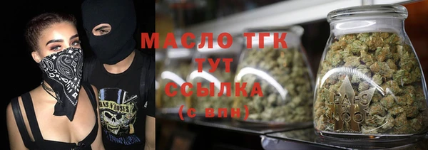 сатива Новокубанск