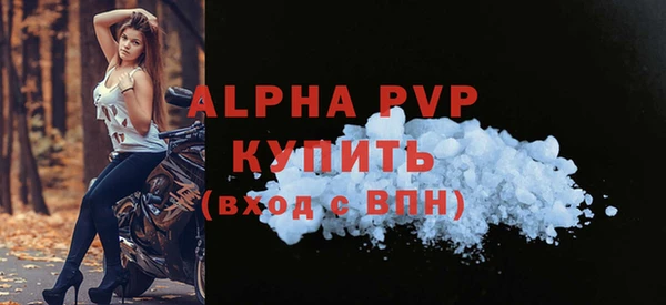 молекула духа Новодвинск