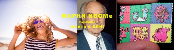 сатива Новокубанск