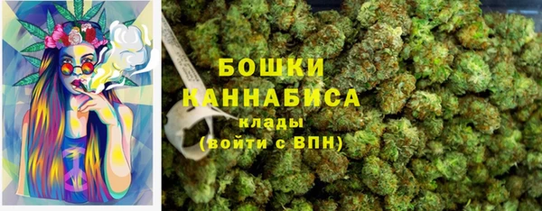 сатива Новокубанск