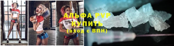 сатива Новокубанск