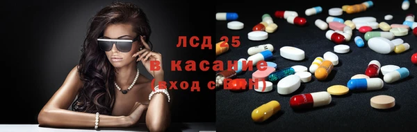 сатива Новокубанск