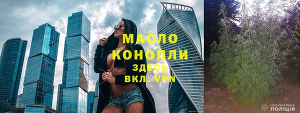 сатива Новокубанск