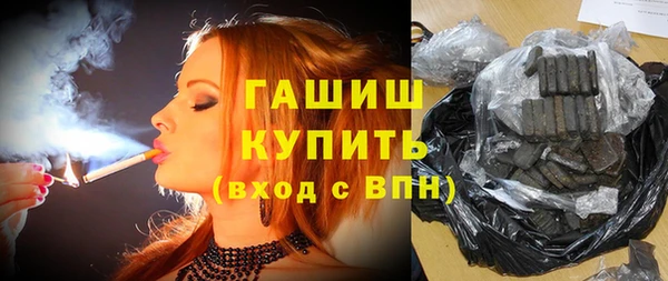 сатива Новокубанск