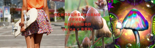 сатива Новокубанск