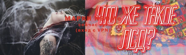 молекула духа Новодвинск