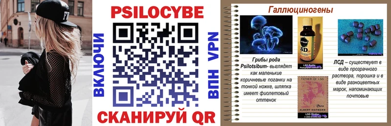 Псилоцибиновые грибы Psilocybe Салехард